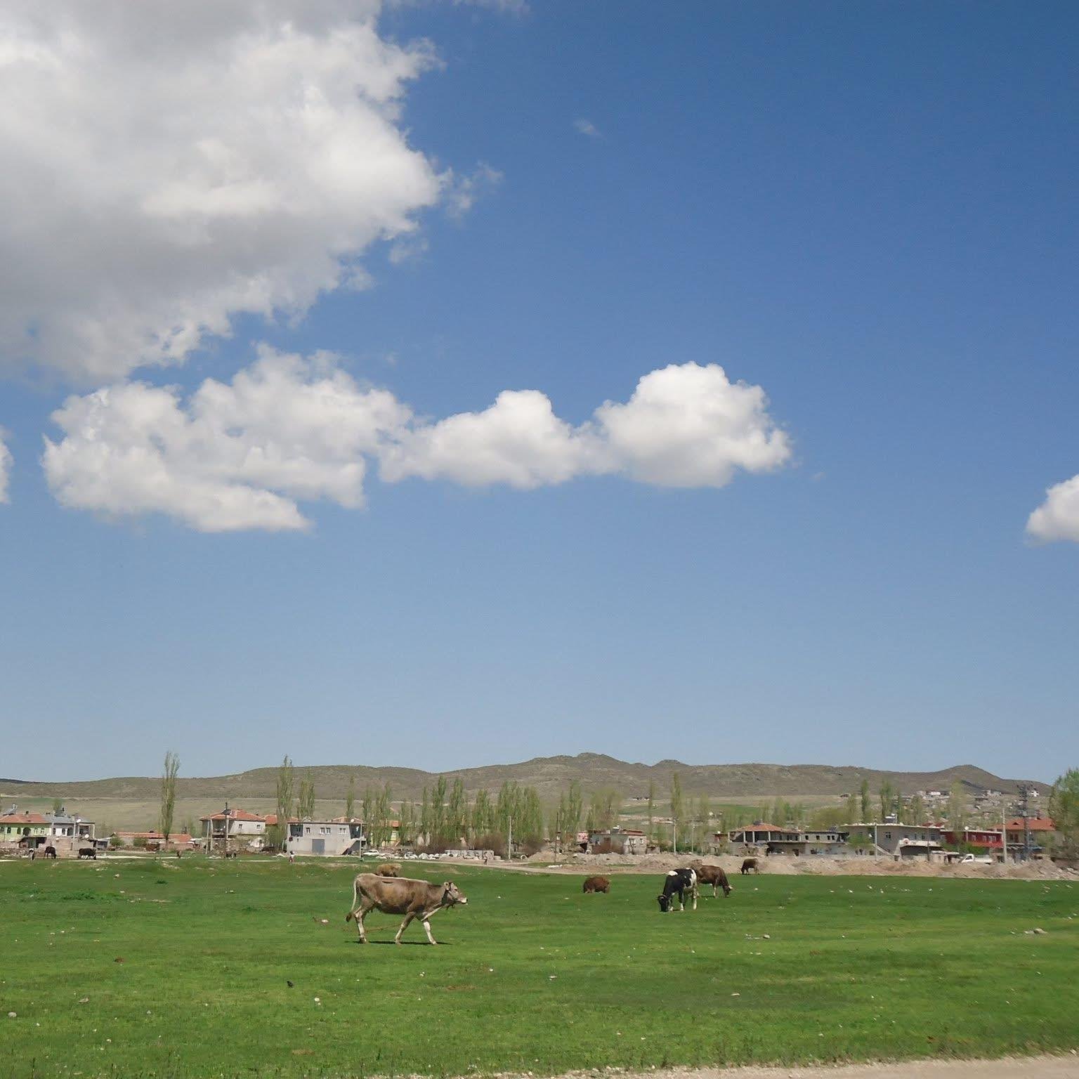 Divarlı